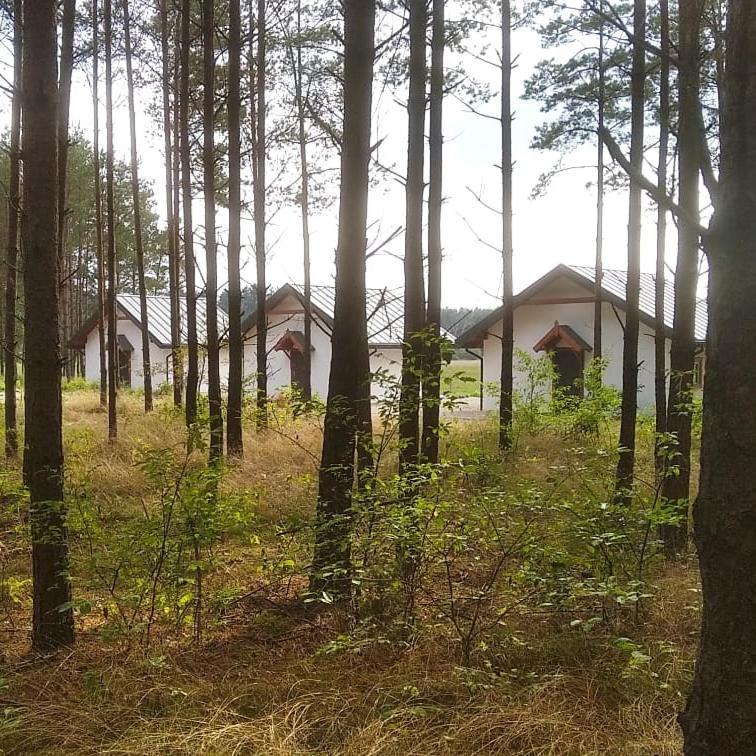 Zurawia Polana Swietajno (Szczytno) Exterior foto