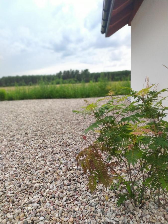 Zurawia Polana Swietajno (Szczytno) Exterior foto