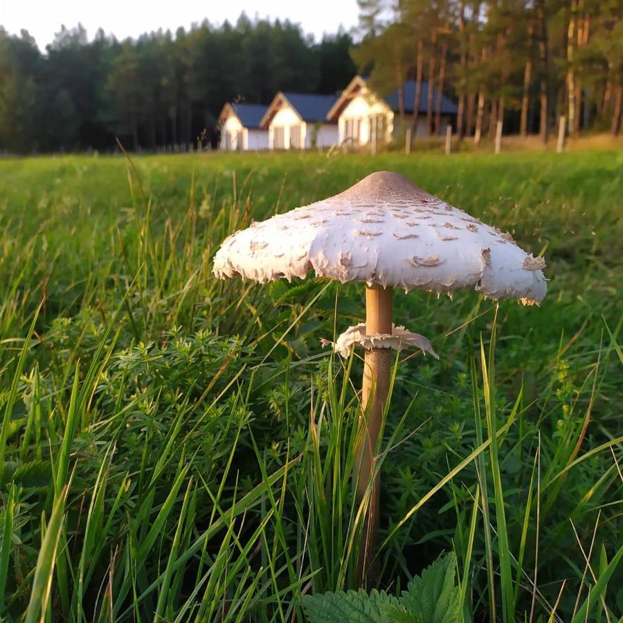 Zurawia Polana Swietajno (Szczytno) Exterior foto