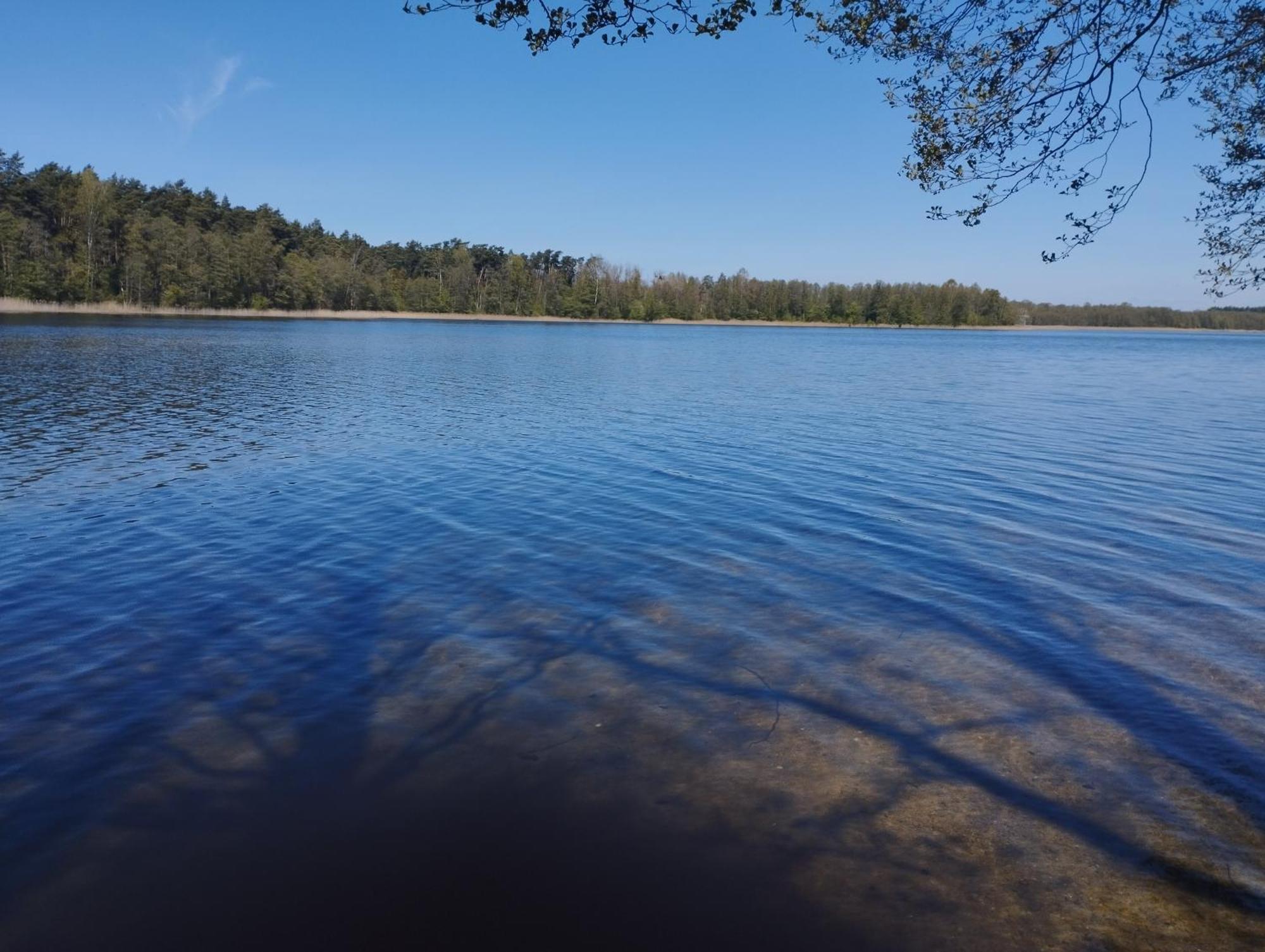 Zurawia Polana Swietajno (Szczytno) Exterior foto