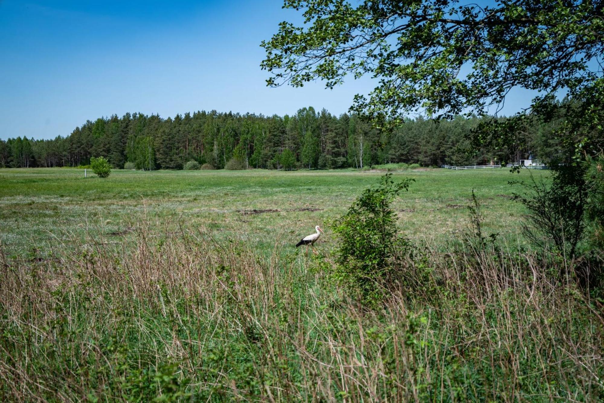 Zurawia Polana Swietajno (Szczytno) Exterior foto
