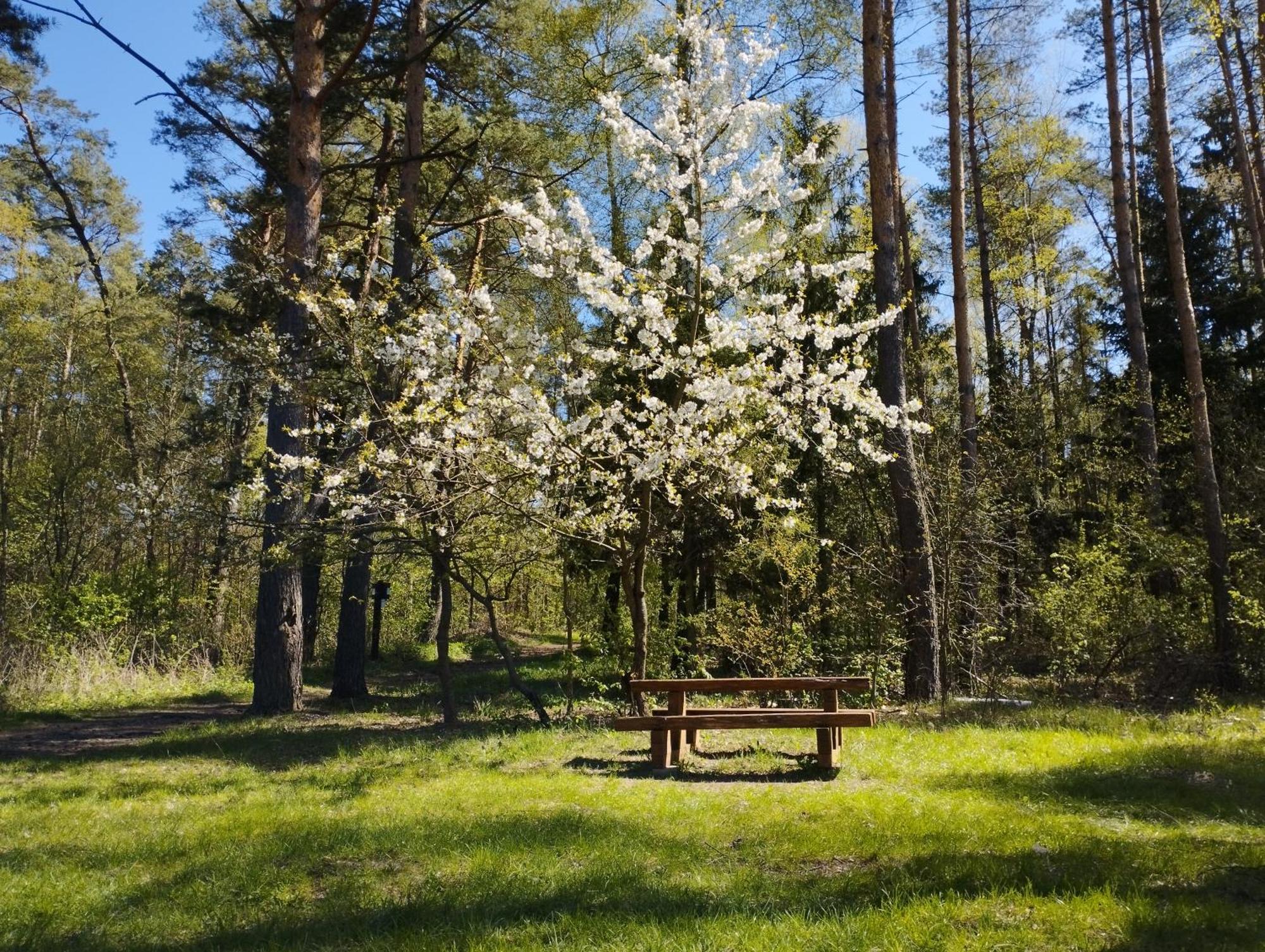 Zurawia Polana Swietajno (Szczytno) Exterior foto